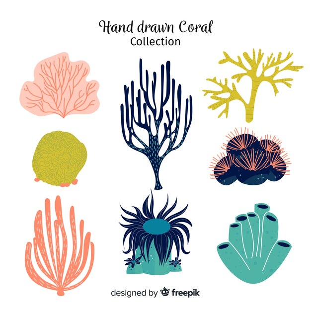 Colección coral dibujado a mano