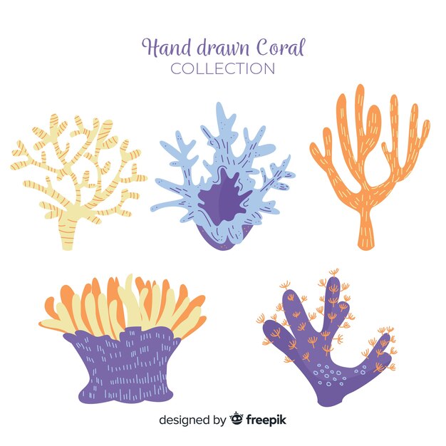 Colección coral dibujado a mano