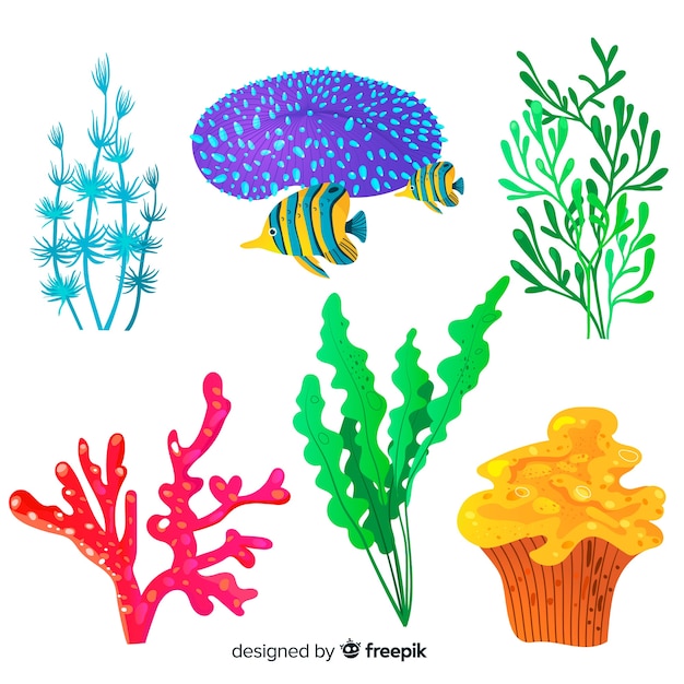 Vector gratuito colección coral con peces dibujada a mano