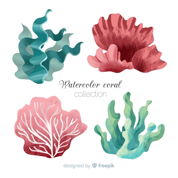 Vector gratuito colección de corales en acuarela