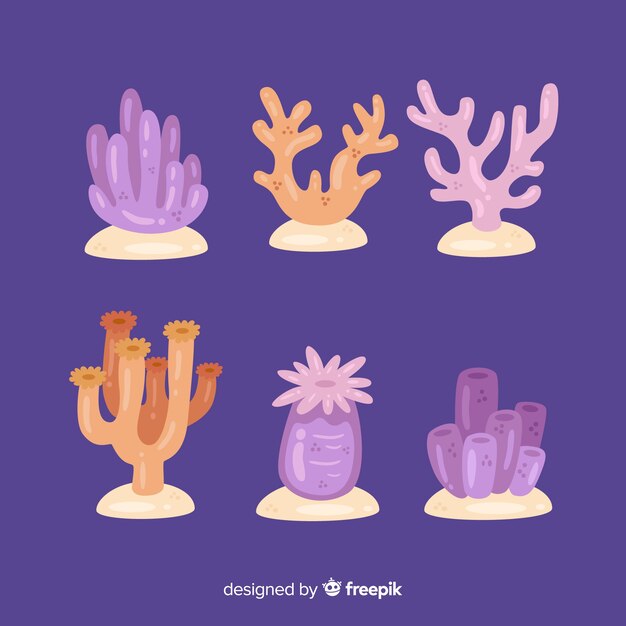 Colección de corales dibujado a mano