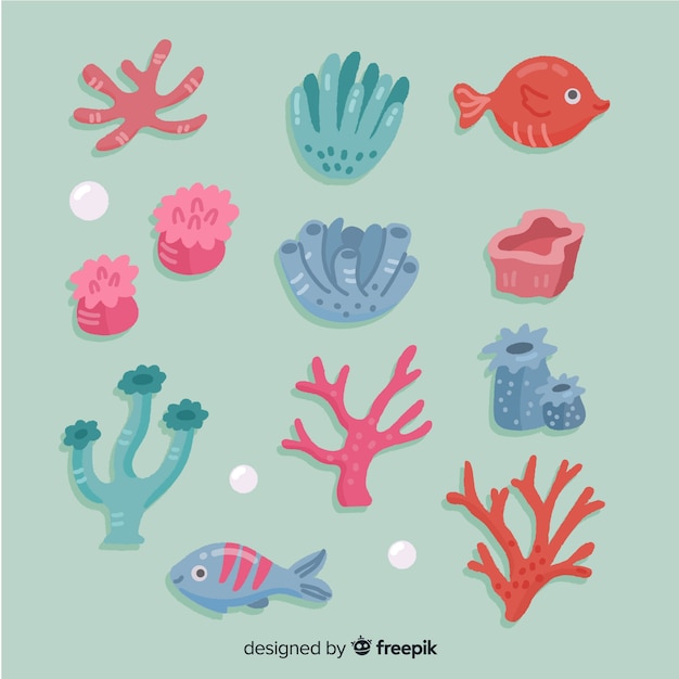 Colección de corales dibujados a mano