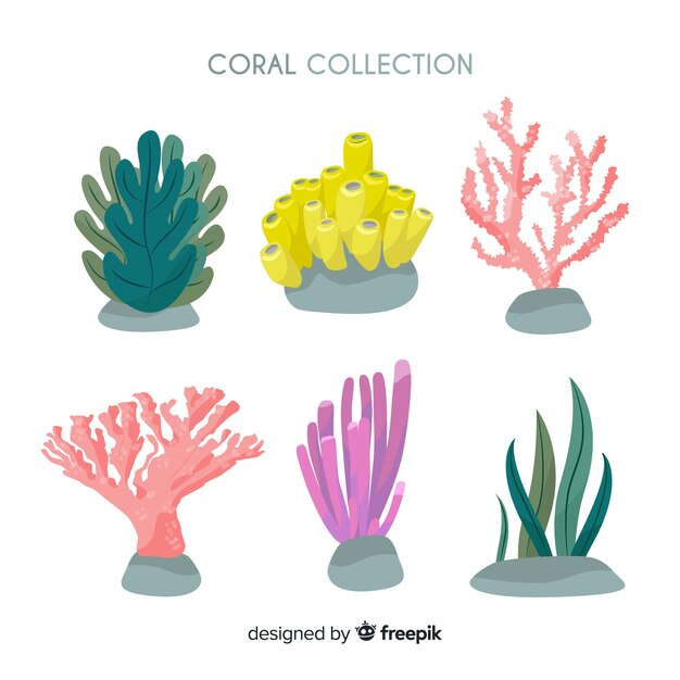 Colección de corales dibujados a mano