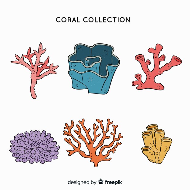 Colección de corales dibujados a mano