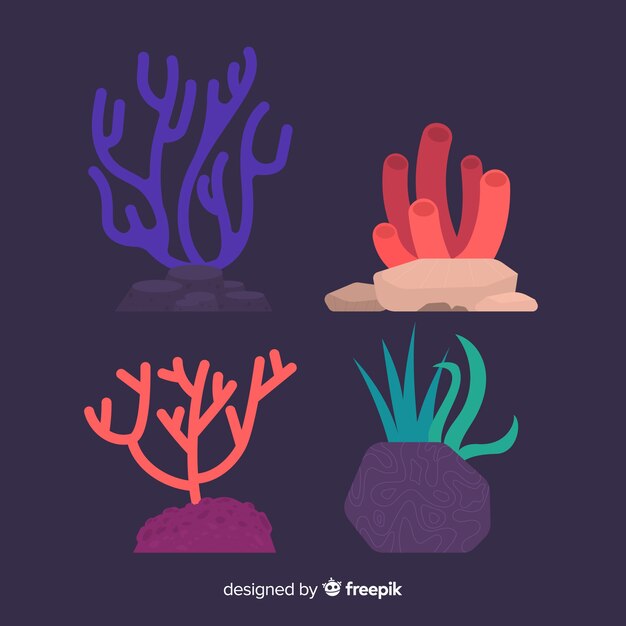 Colección de corales en diseño plano