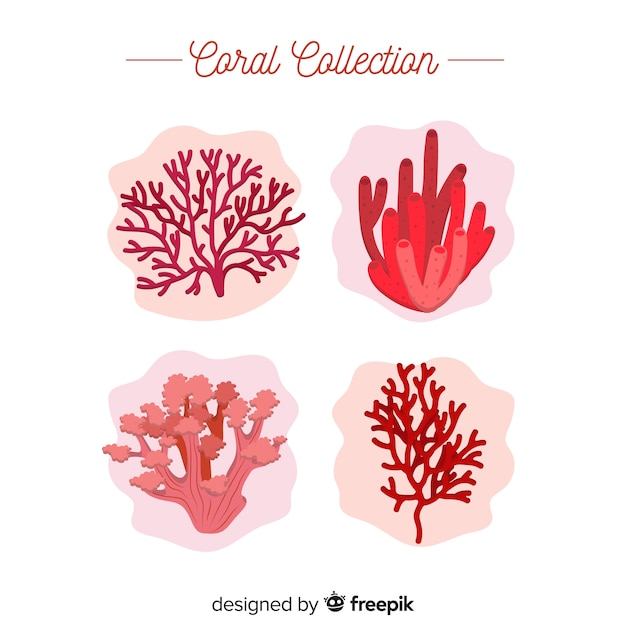 Colección de corales en diseño plano