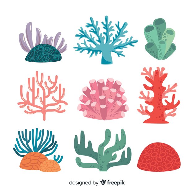 Colección de corales en diseño plano