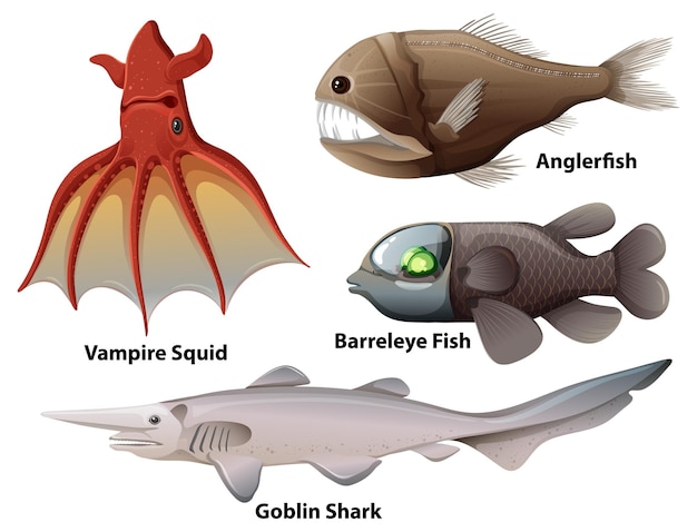 Colección de criaturas de aguas profundas