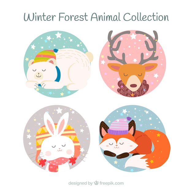 Colección de cuatro animales de invierno