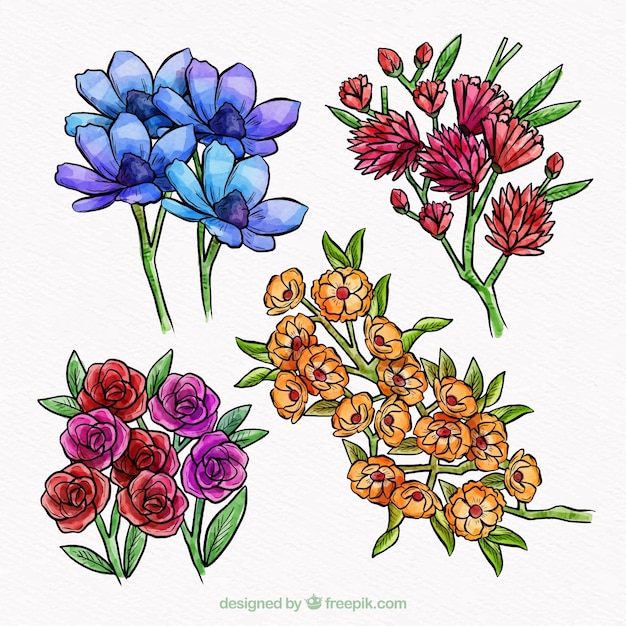 Vector gratuito colección de cuatro hermosas flores