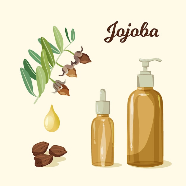 Colección detallada de elementos de jojoba