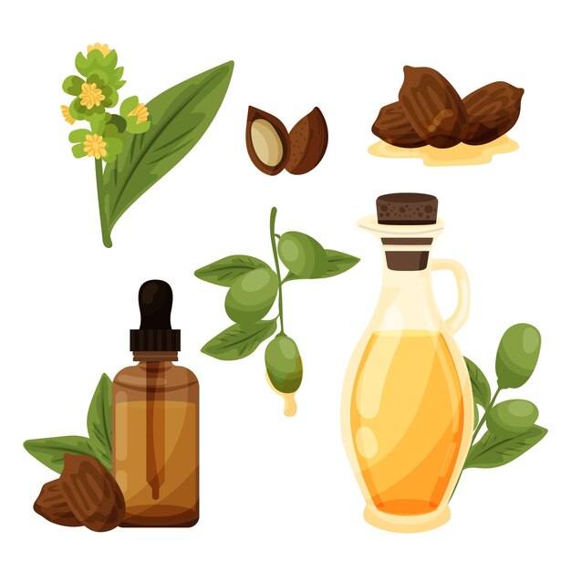 Colección detallada de elementos de jojoba