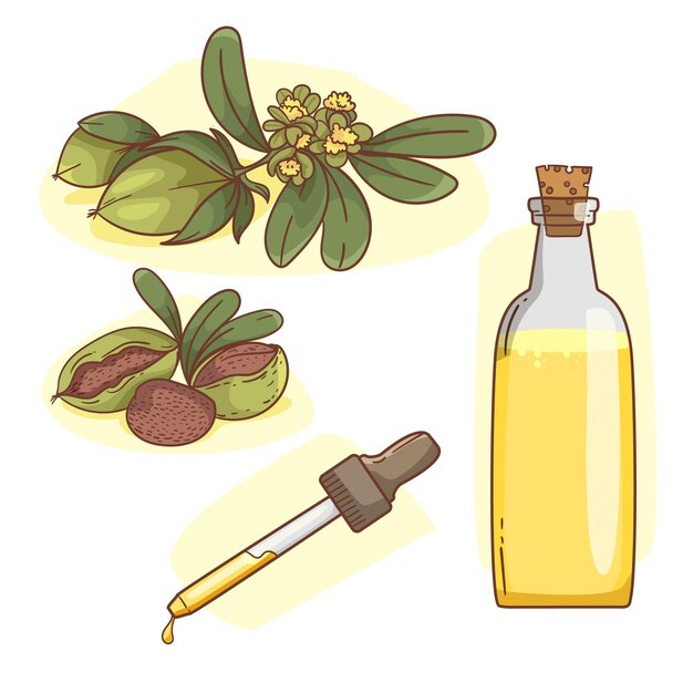 Colección detallada de elementos de jojoba
