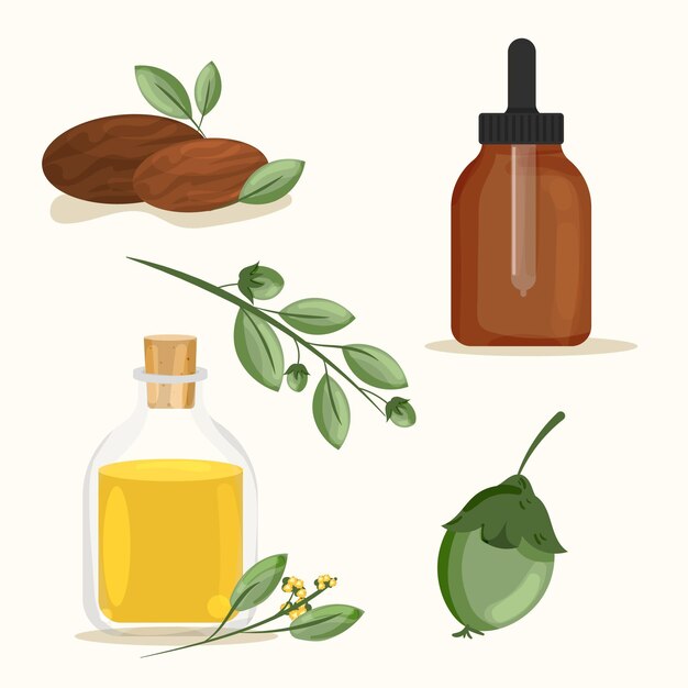 Colección detallada de elementos de jojoba