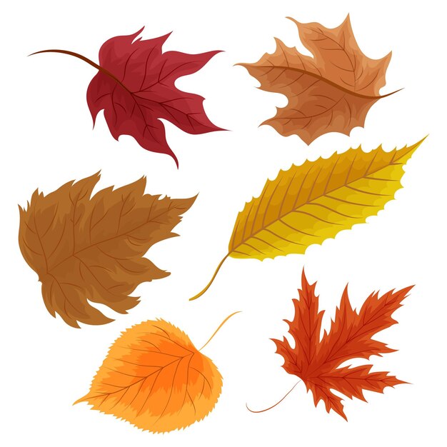 Colección detallada de hojas de otoño
