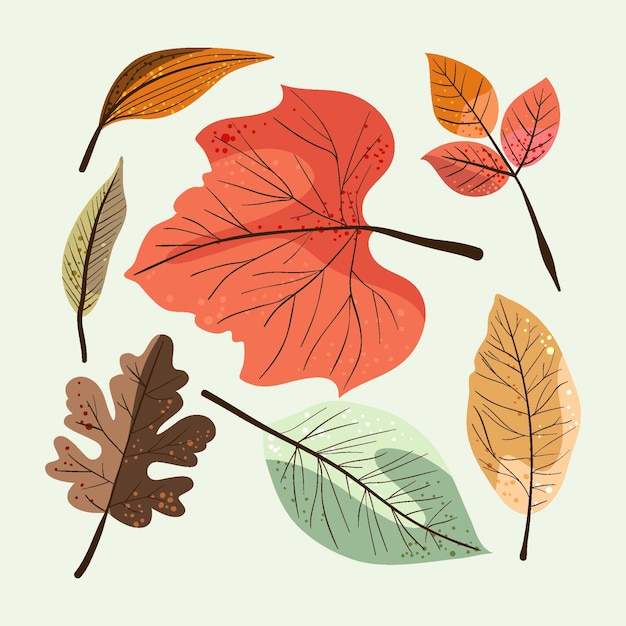 Vector gratuito colección detallada de hojas de otoño