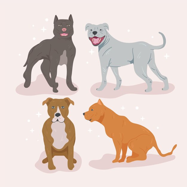 Colección detallada de perros pitbull