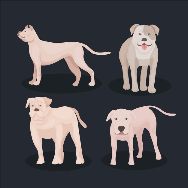Colección detallada de perros pitbull