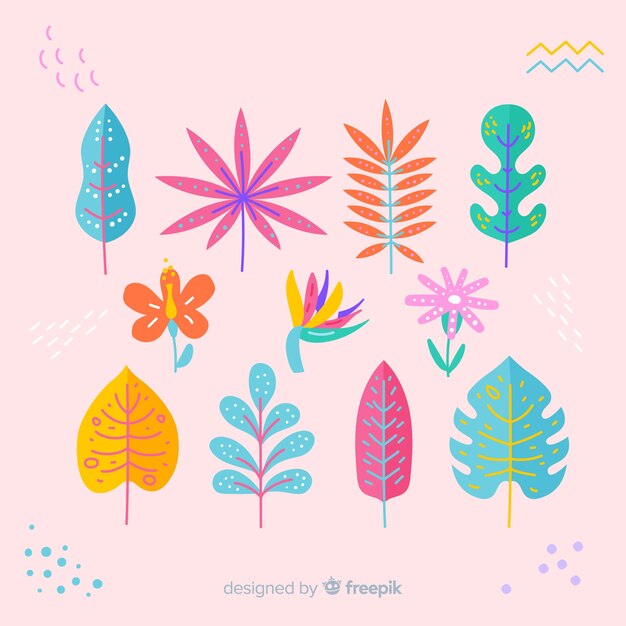 Colección dibujada a mano de flores y hojas coloridas
