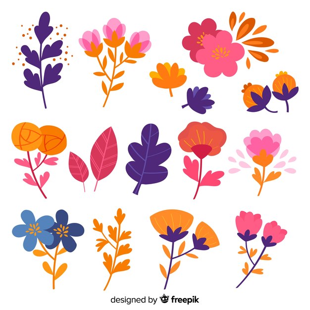 Colección dibujada a mano de flores y hojas coloridas