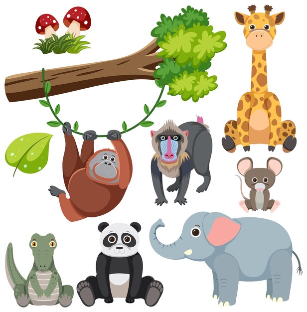 Colección de dibujos de animales salvajes