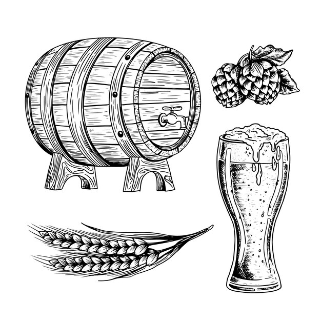 Colección de dibujos de cerveza dibujados a mano