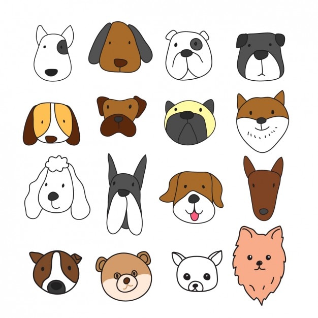 Colección de diferentes caras de perros