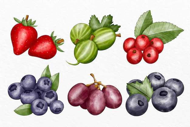 Colección de diferentes frutas ilustradas.