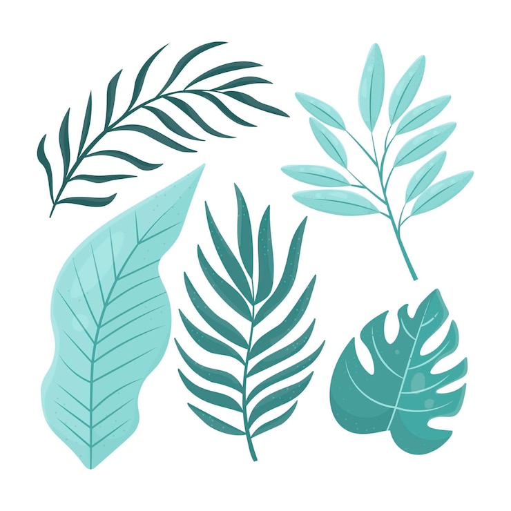 Vector gratuito colección de diferentes hojas de diseño plano.