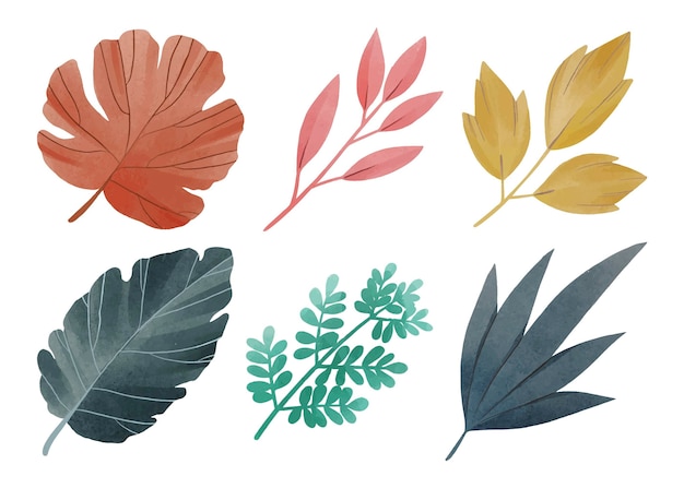 Colección de diferentes hojas pintadas a mano en acuarela.