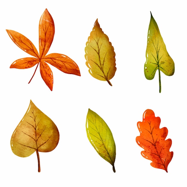 Colección de diferentes hojas pintadas a mano en acuarela.