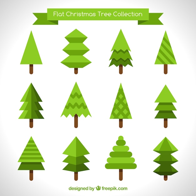 Vector gratuito colección de diferentes pinos en diseño plano