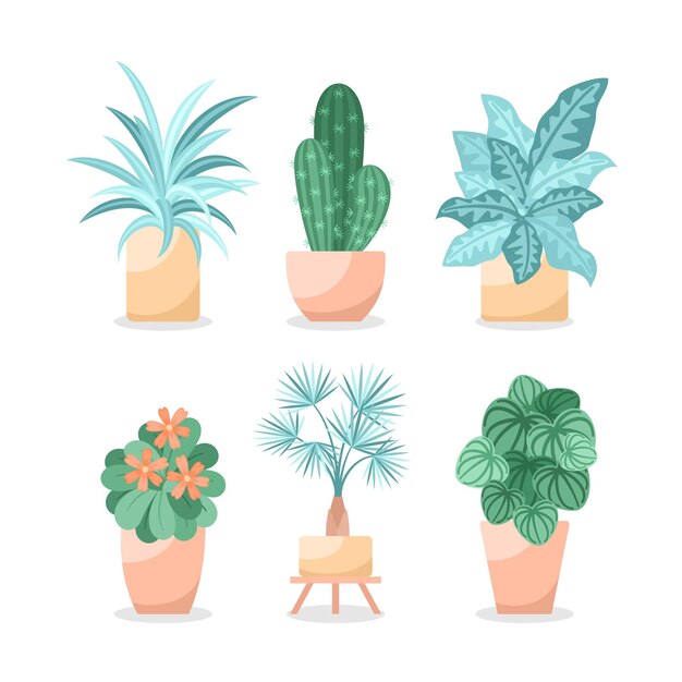 Colección de diferentes plantas de interior verdes.