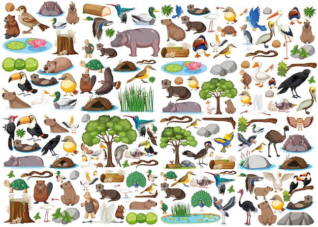 Colección de diferentes tipos de animales salvajes.