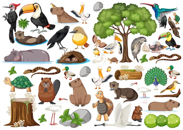 Colección de diferentes tipos de animales salvajes.