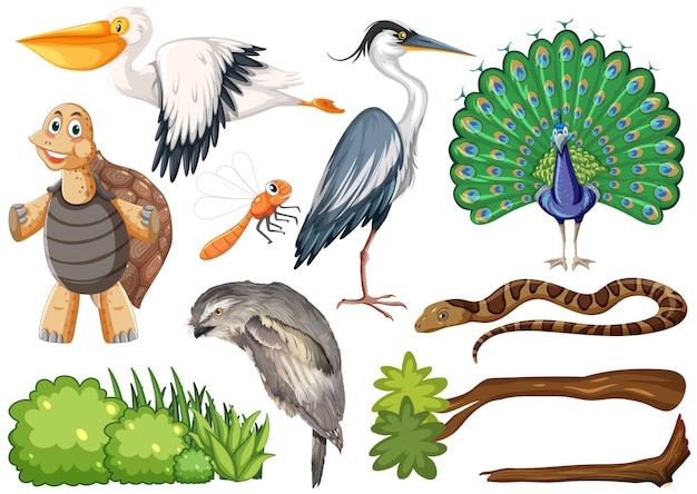 Colección de diferentes tipos de animales salvajes.