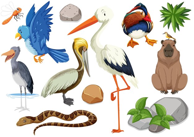 Colección de diferentes tipos de animales salvajes.