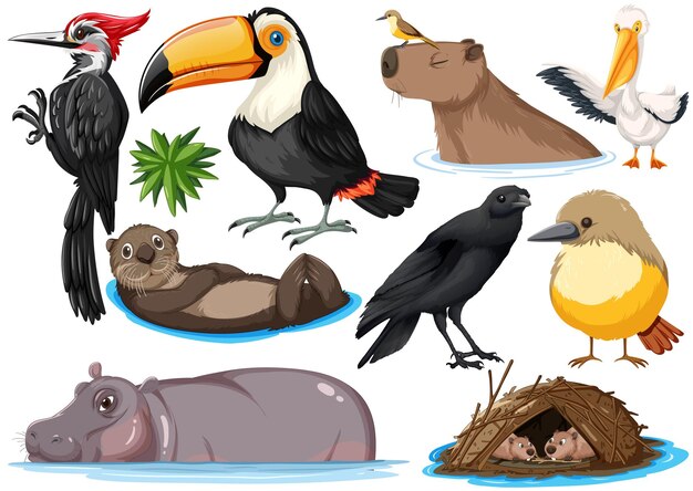 Colección de diferentes tipos de animales salvajes.