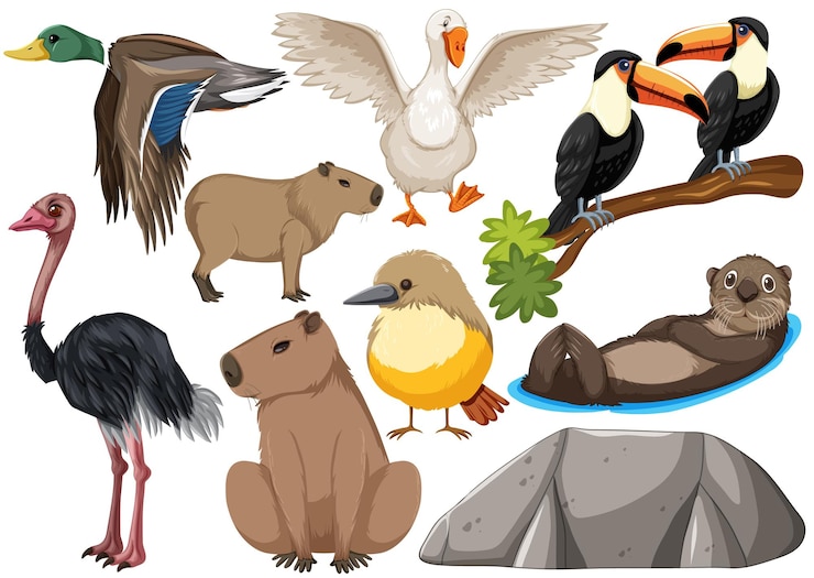 Vector gratuito colección de diferentes tipos de animales salvajes.