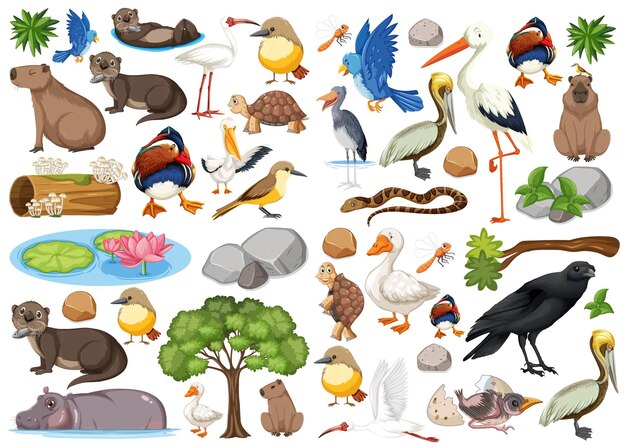 Colección de diferentes tipos de animales salvajes.