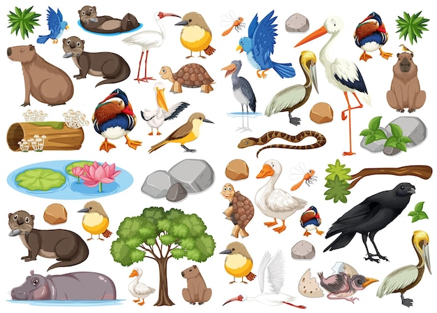 Colección de diferentes tipos de animales salvajes.