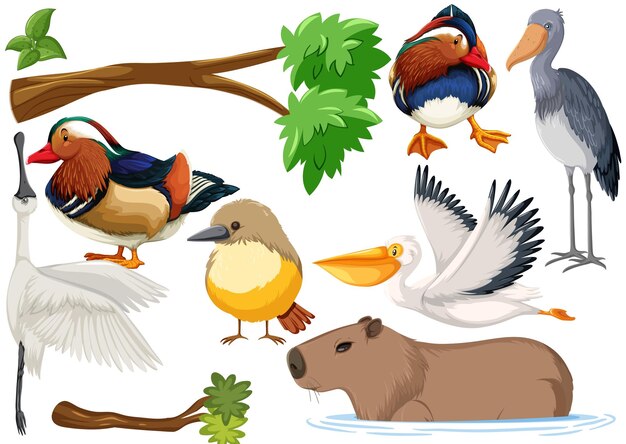 Colección de diferentes tipos de animales salvajes.