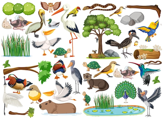 Colección de diferentes tipos de animales salvajes.