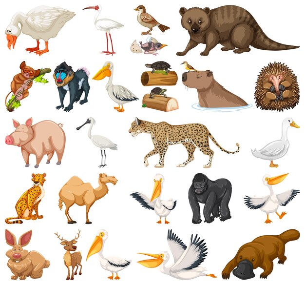 Colección de diferentes tipos de animales.