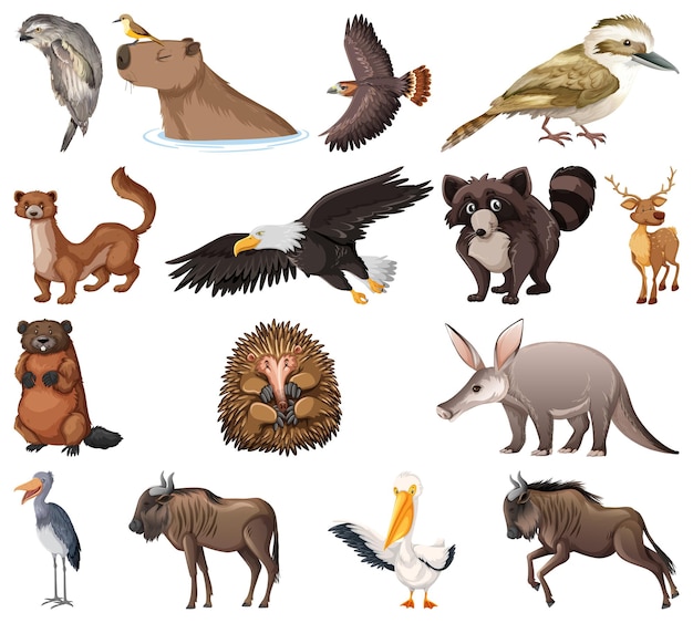 Vector gratuito colección de diferentes tipos de animales.