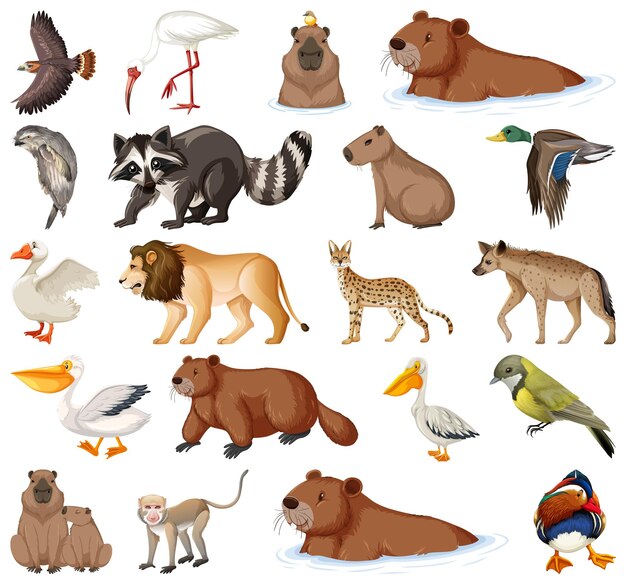 Colección de diferentes tipos de animales.