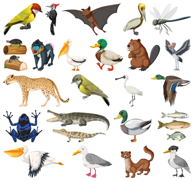 Vector gratuito colección de diferentes tipos de animales.