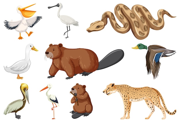 Colección de diferentes tipos de animales.