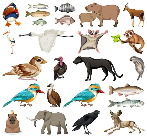 Colección de diferentes tipos de animales.