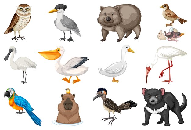 Colección de diferentes tipos de animales.